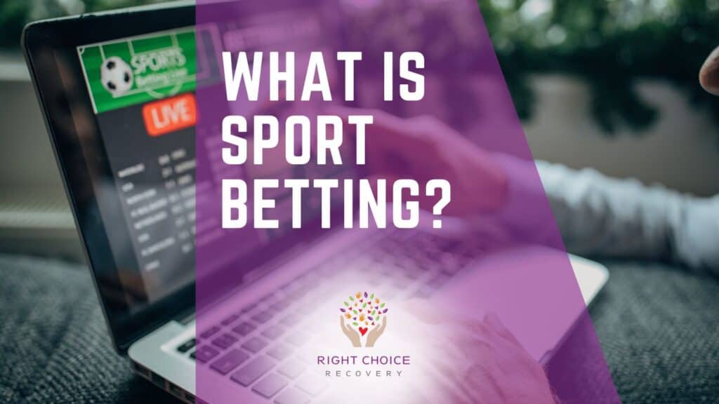 Best Sites for Reality Betting Markets 42 Best Sites for Reality Betting Markets 42
