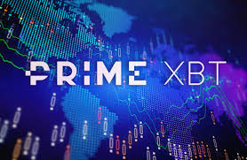 Discover the Best Primexbt Promo Codes for 2023 Discover the Best Primexbt Promo Codes for 2023